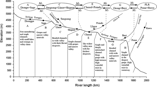 Phylogeography Of Schizothorax O Connori Cyprinidae Schizothoracinae In The Yarlung Tsangpo River Tibet Springerlink