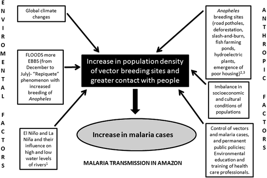 Adaptative Processes Control Measures Genetic Background And Resilience Of Malaria Vectors And Environmental Changes In The Amazon Region Springerlink