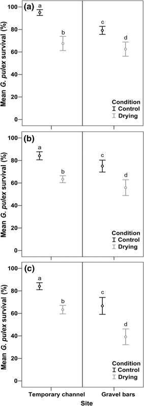 Drying Duration And Stream Characteristics Influence Macroinvertebrate Survivorship Within The Sediments Of A Temporary Channel And Exposed Gravel Bars Of A Connected Perennial Stream Springerlink Drying Duration And Stream Characteristics Influence Macroinvertebrate Survivorship Within The Sediments Of A Temporary Channel And Exposed Gravel Bars Of A Connected Perennial Stream Springerlink