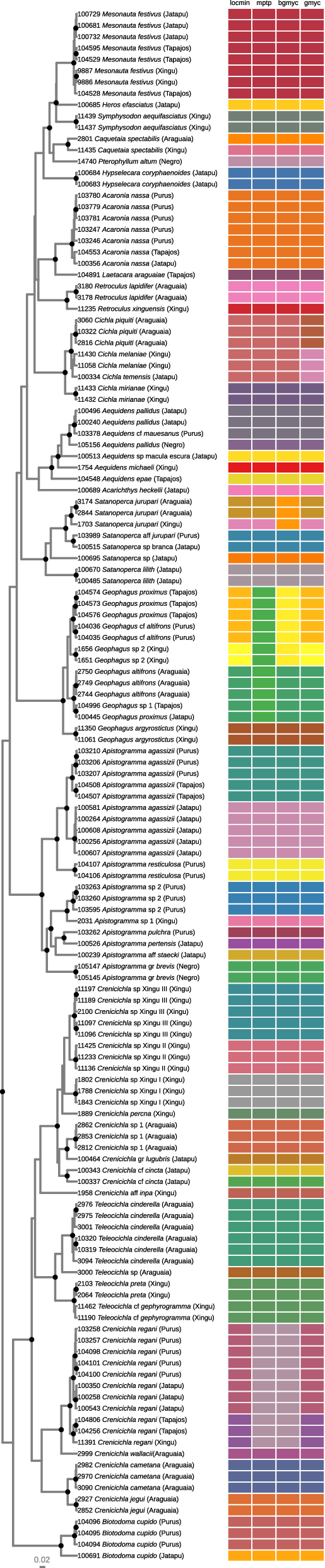 From Shallow To Deep Divergences Mixed Messages From Amazon Basin Cichlids Springerlink