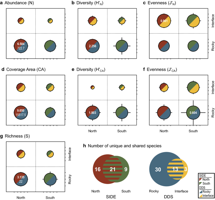 Biodiversity And Structure Of Marine Sponge Assemblages Around A Subtropical Island Springerlink Biodiversity And Structure Of Marine Sponge Assemblages Around A Subtropical Island Springerlink