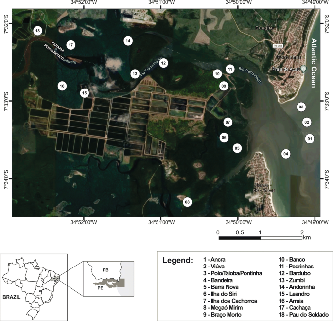 Local ecological knowledge of shellfish collectors in an extractivist  reserve, Northeast Brazil: implications for co-management | SpringerLink