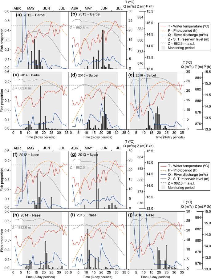 Pre Reproductive Movements Of Potamodromous Cyprinids In The Iberian Peninsula When Environmental Variability Meets Semipermeable Barriers Springerlink