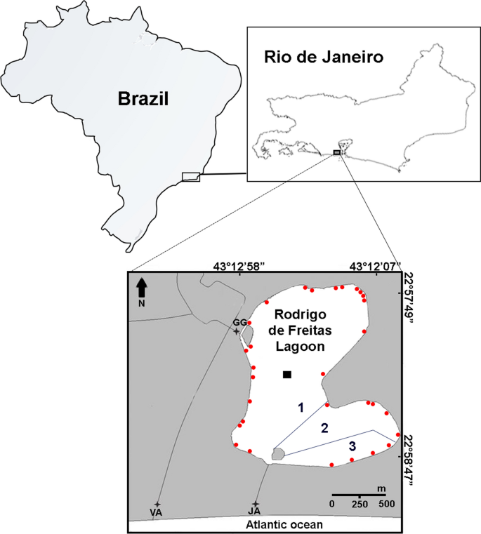 Urbanization-induced impacts on heat-energy fluxes in tropical South  America from 1984 to 2020: The Metropolitan Area of Rio de Janeiro/Brazil -  ScienceDirect