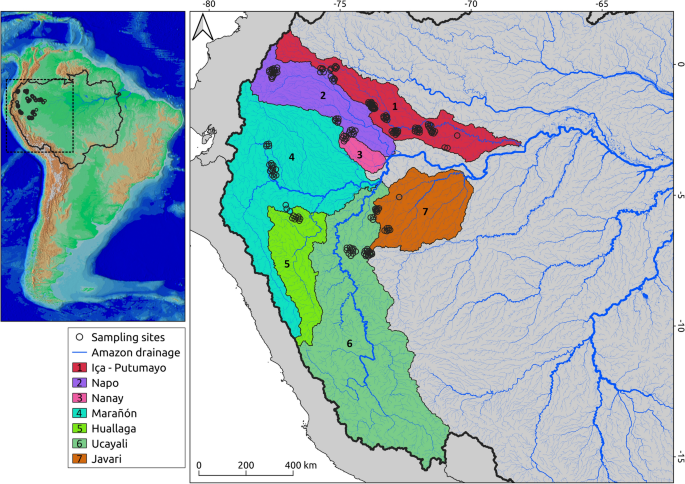 Historical processes explain fish diversity in the upper Amazon River basin  | SpringerLink