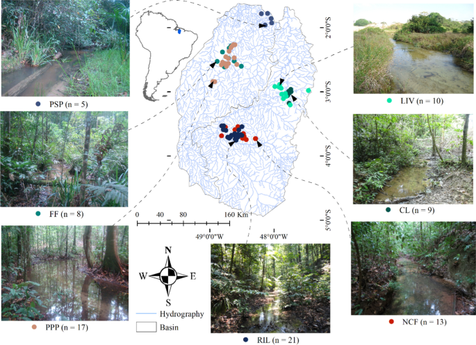 Land use types determine environmental heterogeneity and aquatic insect  diversity in Amazonian streams | SpringerLink