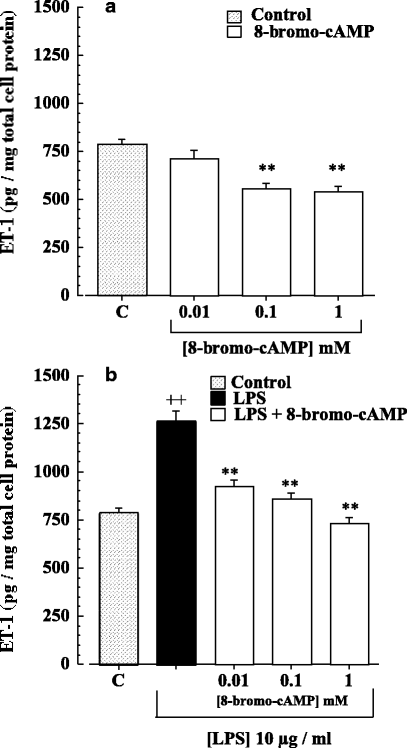Inhibition of Basal and Stimulated Release of Endothelin-1 from Guinea Pig  Tracheal Epithelial Cells in Culture by Beta 2-adrenoceptor Agonists and  Cyclic AMP Enhancers | SpringerLink