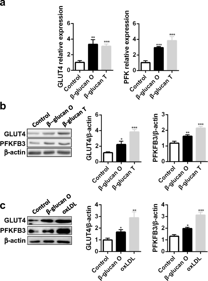 Oat Derived B Glucans Induced Trained Immunity Through Metabolic Reprogramming Springerlink