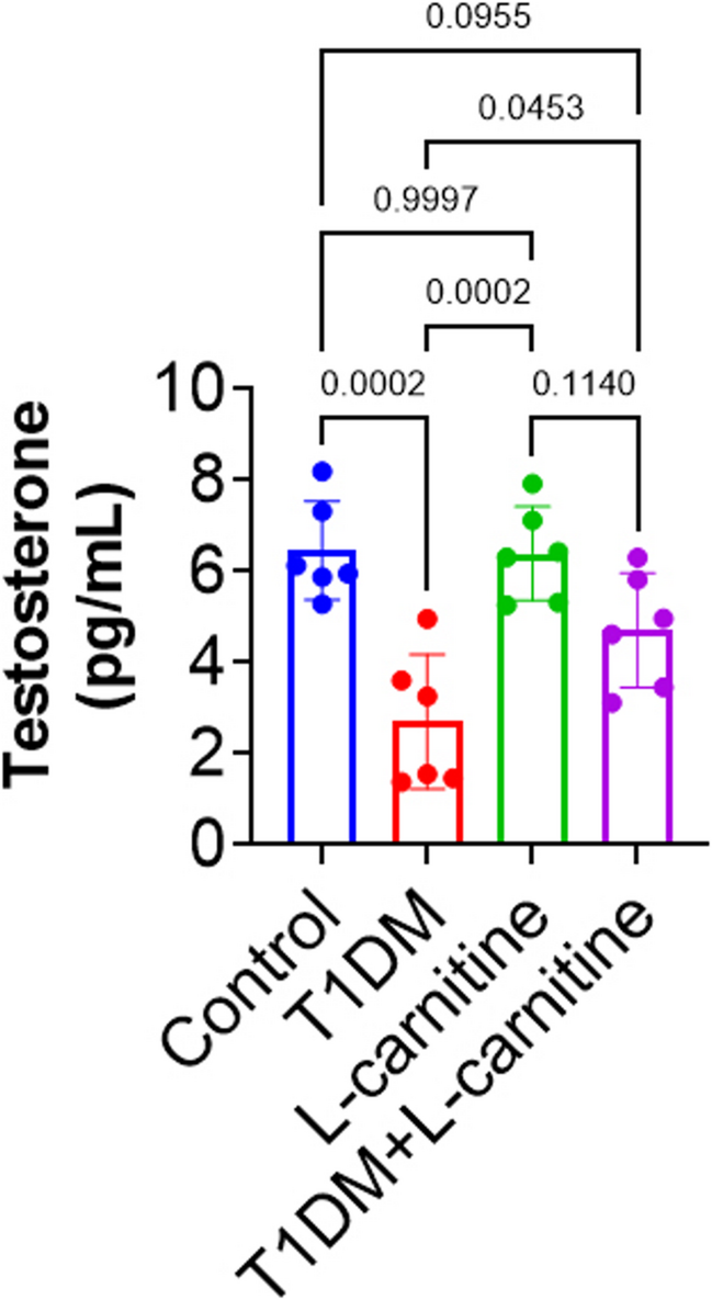 L-Carnitine Attenuates Testicular Dysfunction in Type 1 Diabetes ...