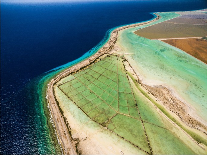 Life at the Salty Edge of Empire: The Maritime Cultural Landscape at the  Orange Saltpan on Bonaire, 1821–1960 | International Journal of Historical  Archaeology