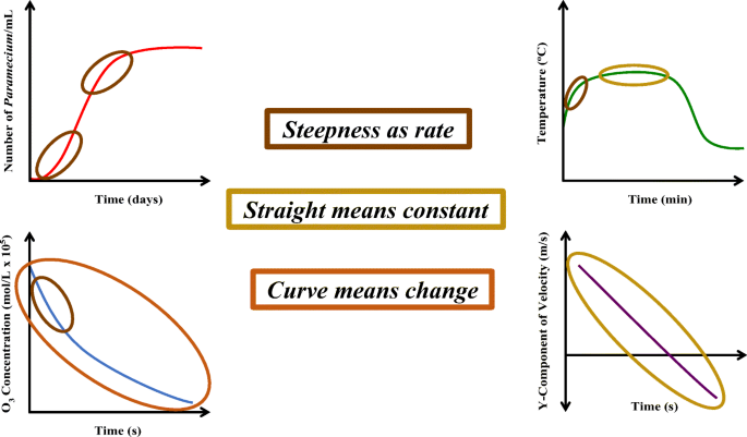 Graphical Forms The Adaptation Of Sherin S Symbolic Forms For The Analysis Of Graphical Reasoning Across Disciplines Springerlink