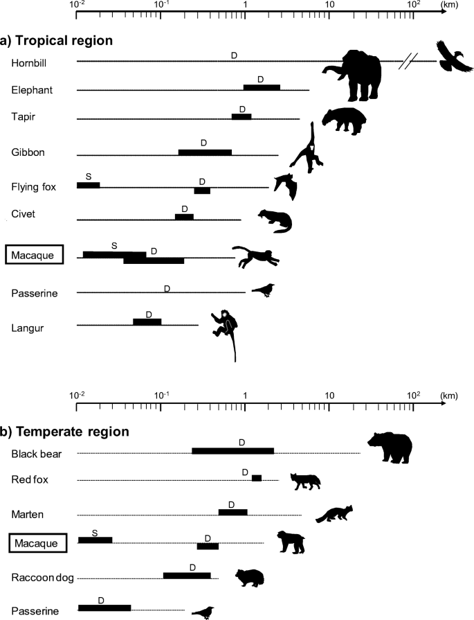 Macaques As Seed Dispersal Agents In Asian Forests A Review Springerlink Macaques As Seed Dispersal Agents In Asian Forests A Review Springerlink