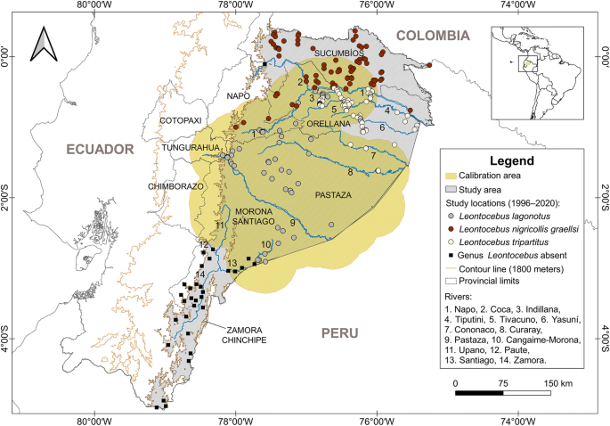 An Update of the Geographic Distribution of the Red-Mantled Saddle-Back  Tamarin, Leontocebus lagonotus (Callitrichidae), in Ecuador | SpringerLink