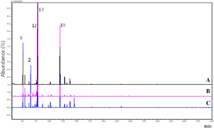 Anti Inflammatory Activity Of Nanoemulsions Of Essential Oil From Rosmarinus Officinalis L In Vitro And In Zebrafish Studies Springerlink Anti Inflammatory Activity Of Nanoemulsions Of Essential Oil From Rosmarinus Officinalis L In Vitro And In Zebrafish Studies Springerlink