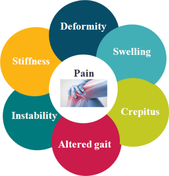 glutathione and osteoarthritis Ageing and the pathogenesis of osteoarthritis