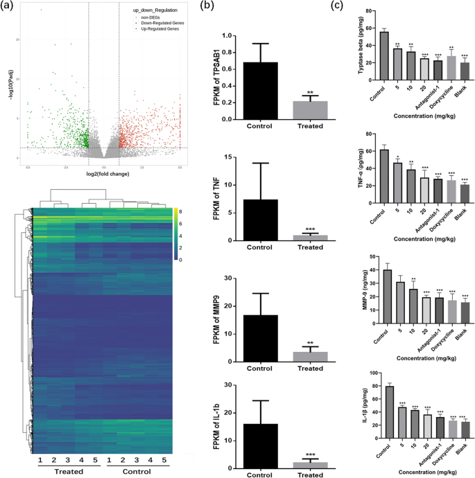 Casticin reduces rosacea-related inflammation by inhibiting mast cell ...