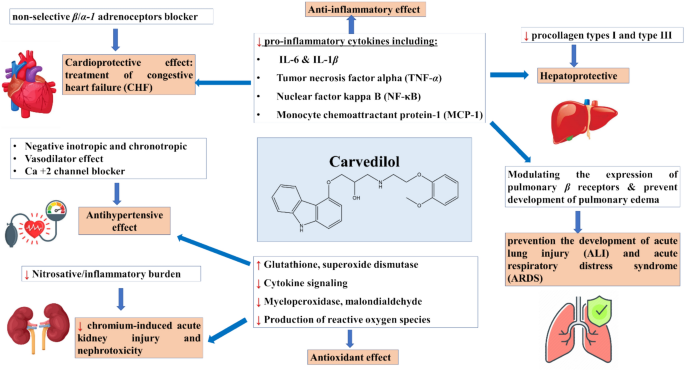 glutathione biosynthesis pathway enzymes Glutathione Metabolism and Its Implications for Health