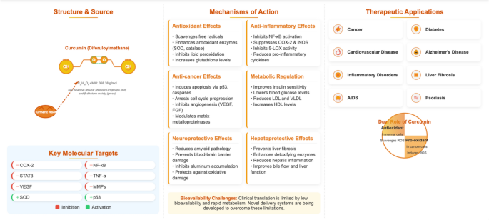 glutathion peroxydase leve Glutathion : un puissant protecteur contre le stress oxydatif