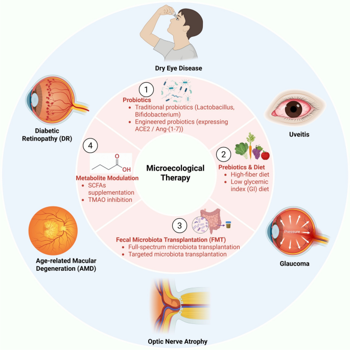 l glutathione absorption 9 Health Benefits of Glutathione l glutathione absorption 9 Health Benefits of Glutathione