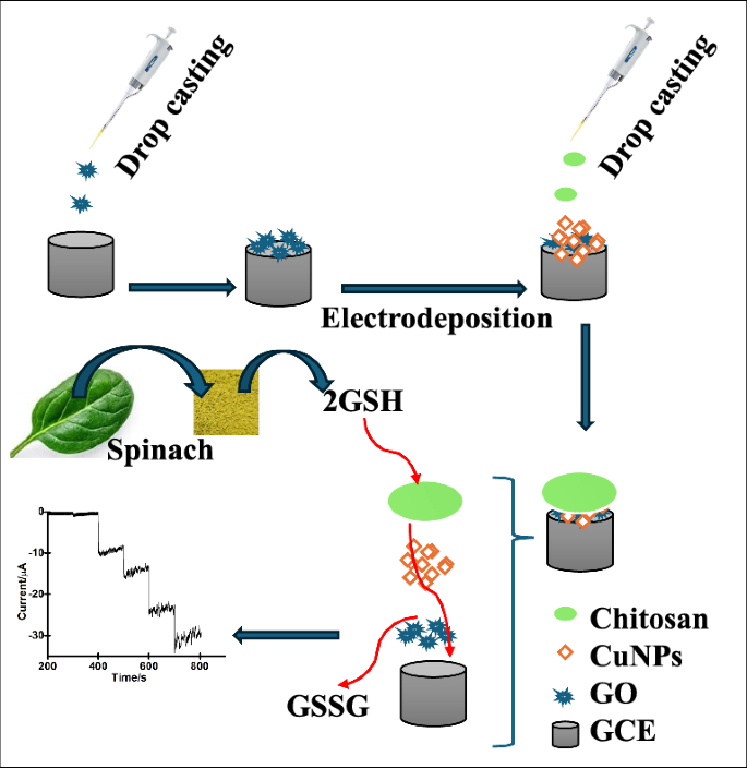 An enzyme-free layer-by-layer glutathione sensor using Cu nanoparticles  electrodeposited onto graphene oxide | Journal of Applied Electrochemistry 