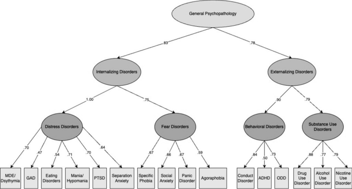 Interparental Relationship Discord and Adolescent Psychopathology in a ...