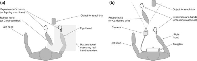The Rubber Hand Illusion Reveals Proprioceptive And Sensorimotor Differences In Autism Spectrum Disorders Springerlink