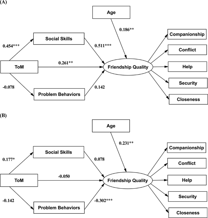 Exploring the Relationships Between Theory of Mind, Social Skills, and ...
