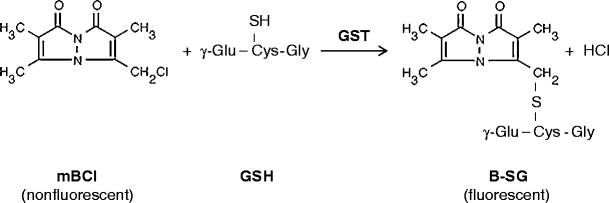 Assessment of cellular reduced glutathione content in Pseudokirchneriella  subcapitata using monochlorobimane | Journal of Applied Phycology