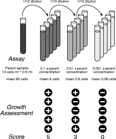 the importance of serial dilution the importance of serial dilution