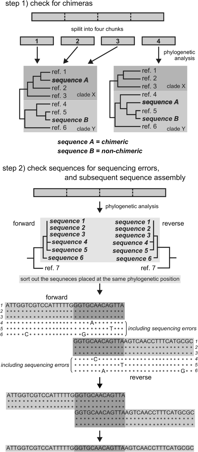 Rapid Detection Of Macroalgal Seed Bank On Cobbles Application Of Dna Metabarcoding Using Next Generation Sequencing Springerlink