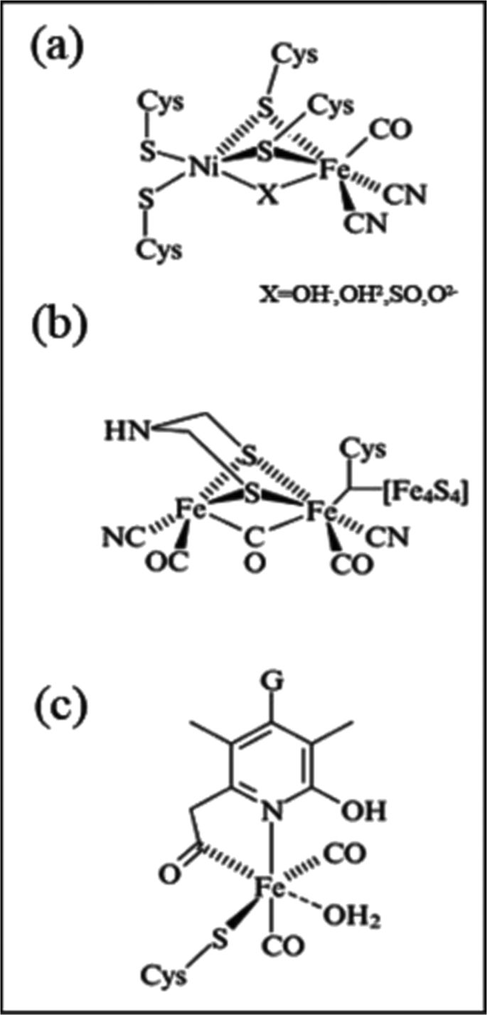 Microalgal Biohydrogen Photoproduction Scaling Up Challenges And The Ways Forward Springerlink