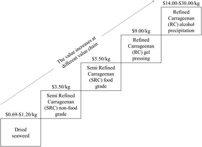 A Value Chain Analysis Of Malaysia S Seaweed Industry Springerlink