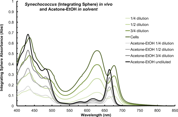 Solvent Free Chlorophyll Spectrometry In Unicellular Algal Research Springerlink