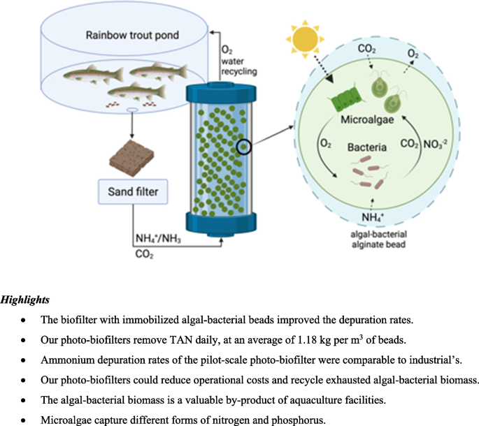 Lab- and pilot-scale photo-biofilter performance with algal