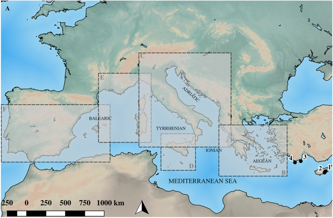 Establishing The Middle Sea The Late Bronze Age Of Mediterranean Europe 1700 900 Springerlink