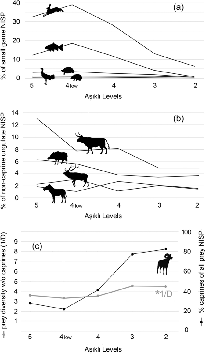 Aşıklı Höyük: The Generative Evolution of a Central Anatolian PPN  Settlement in Regional Context