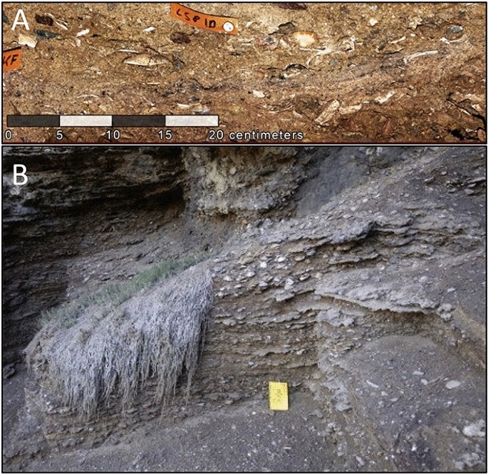 Shell Midden Archaeology: Current Trends and Future Directions