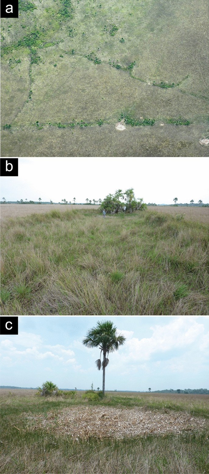 More than 10,000 pre-Columbian earthworks are still hidden throughout  ia