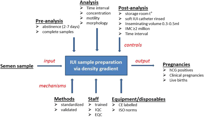 5 days abstinence before iui