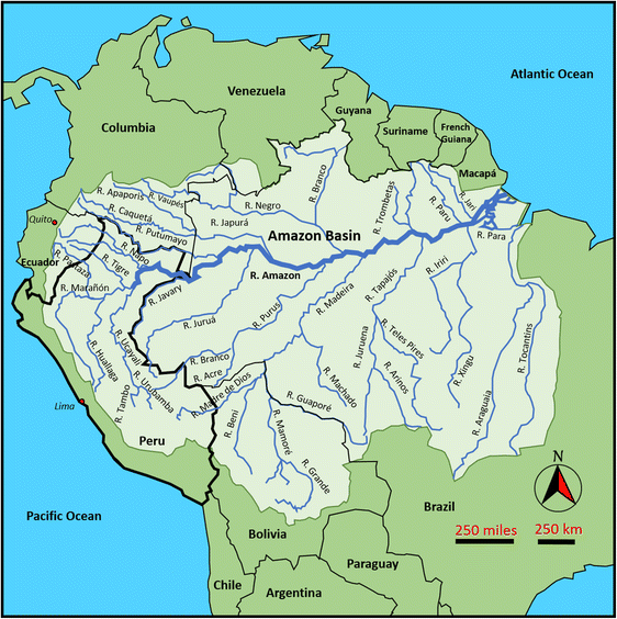 The Flow of Culture: Assessing the Role of Rivers in the Inter-community  Transmission of Material Traditions in the Upper Amazon | SpringerLink