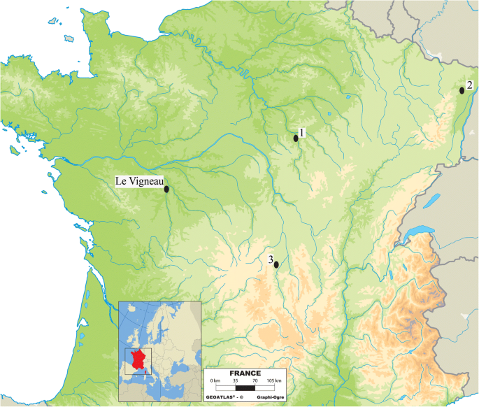 A Multidisciplinary Approach To Neolithic Life Reconstruction Springerlink