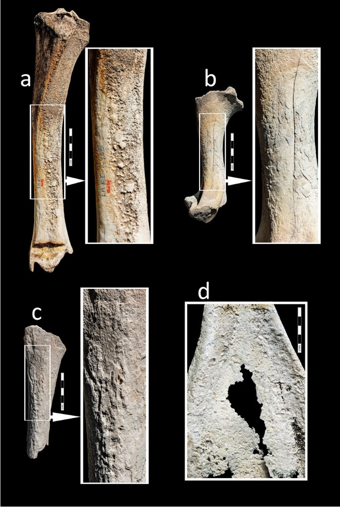 figure 19