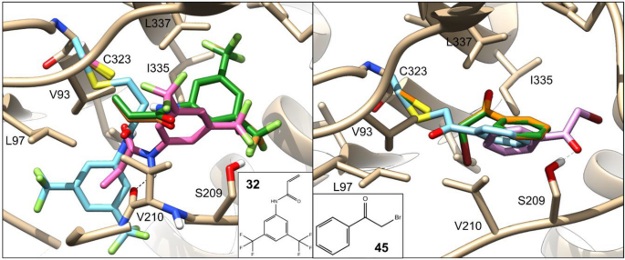 figure 14