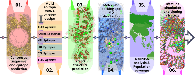 Designing a multi-epitope mRNA vaccine to combat human metapneumovirus ...
