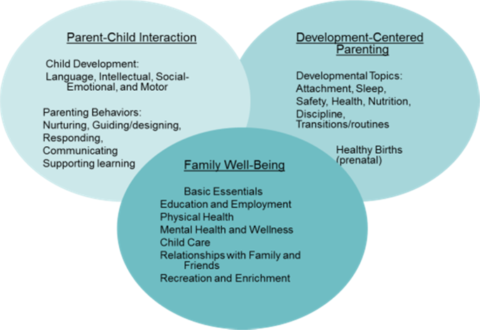 Advancing Home Based Parenting Programs Through The Use Of Telehealth Technology Springerlink