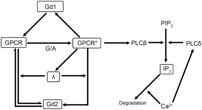 figure cf