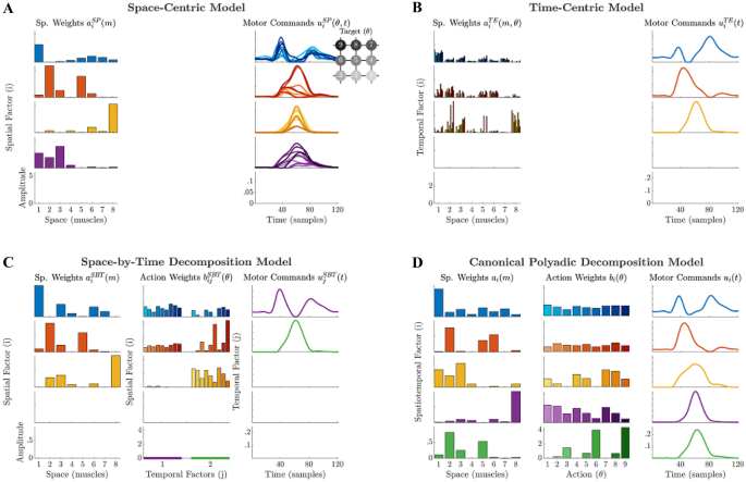 What about “space” is important for episodic memory? - Fan - 2023 - WIREs  Cognitive Science - Wiley Online Library