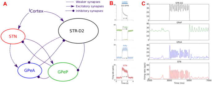 30th Annual Computational Neuroscience Meeting Cns 21 Meeting Abstracts Springerlink