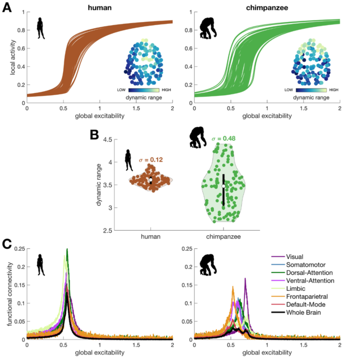 Laura Berlin - v1.0, Stable Diffusion Embedding