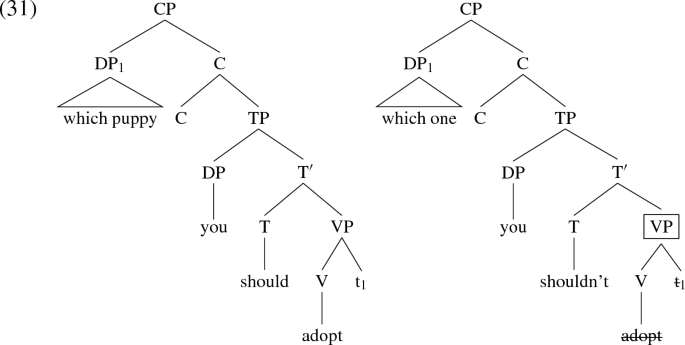What postulate is illustrated by the diagram above